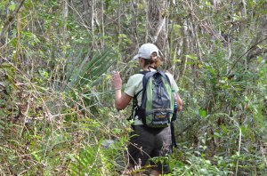 Hiking Tour: Doris Ton in Ton, damit sie der Florida-Panter nicht sieht.