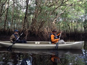 Flott geht es voran mit dem Kanu in den Mangrovenwälder der Everglades.
